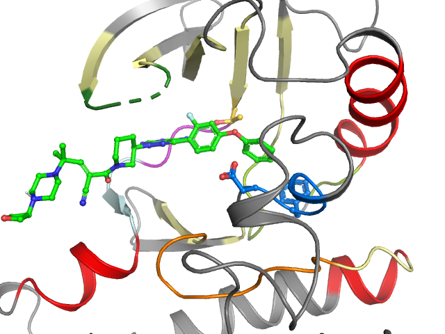 The orthosteric binding pocket