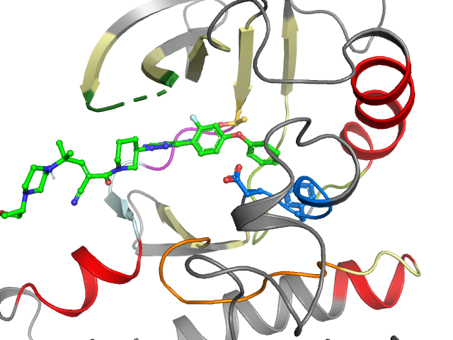The orthosteric binding pocket