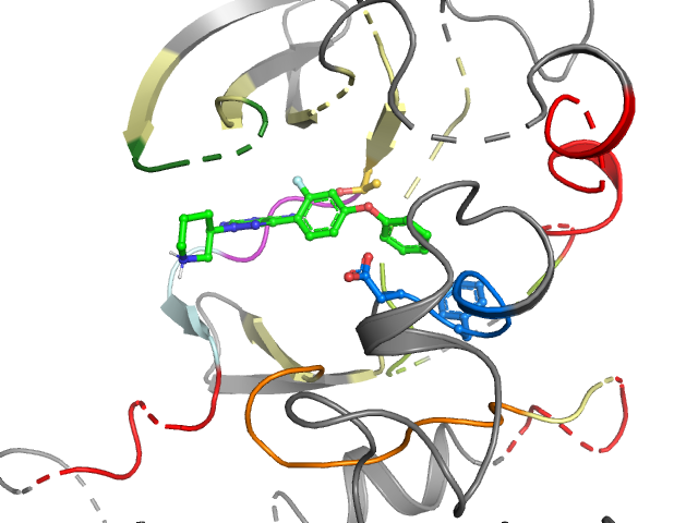 The orthosteric binding pocket
