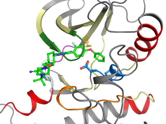 The orthosteric binding pocket