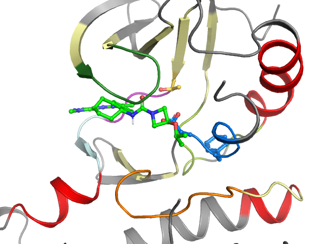The orthosteric binding pocket
