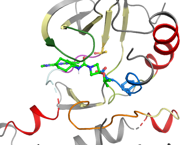 The orthosteric binding pocket