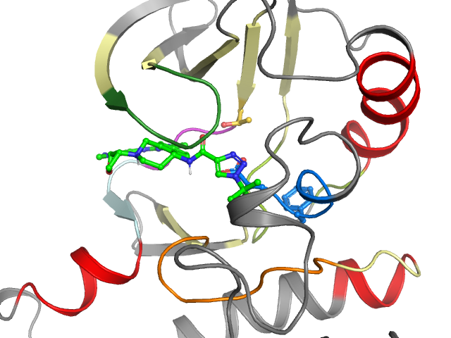 The orthosteric binding pocket