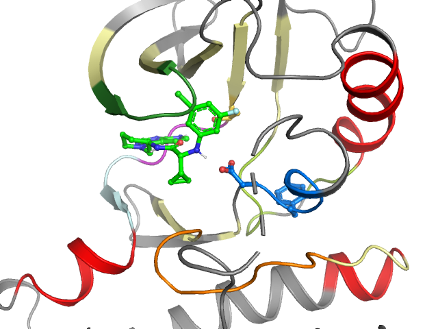 The orthosteric binding pocket