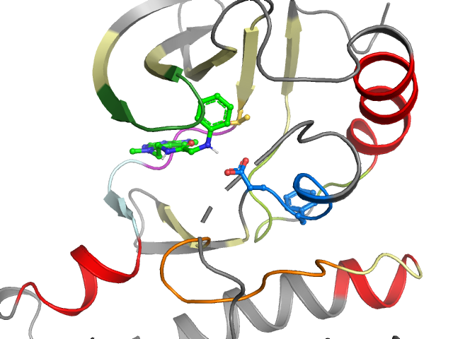 The orthosteric binding pocket