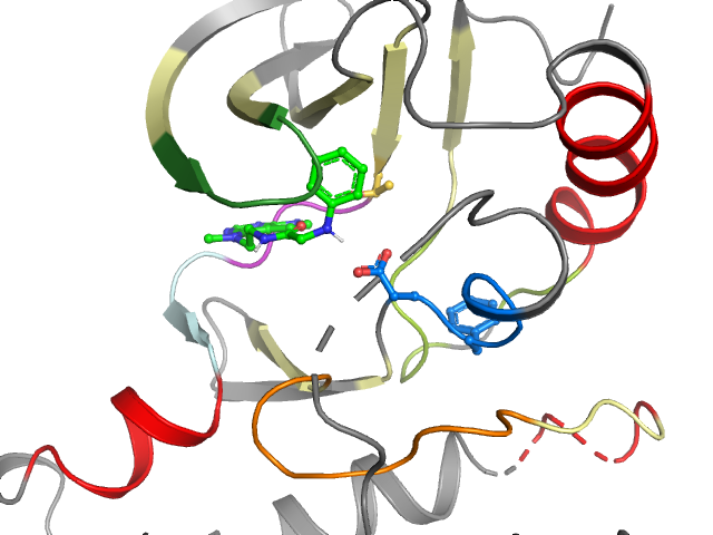 The orthosteric binding pocket