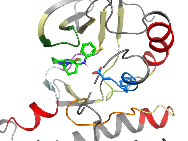 The orthosteric binding pocket