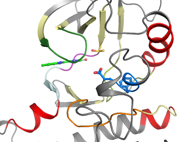 The orthosteric binding pocket