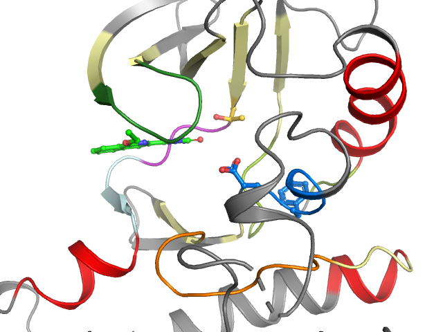 The orthosteric binding pocket