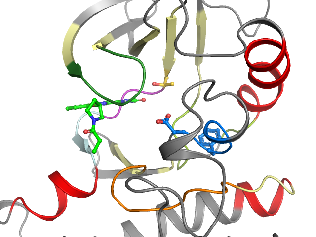 The orthosteric binding pocket