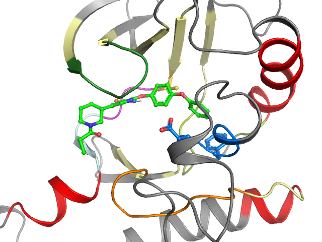 The orthosteric binding pocket