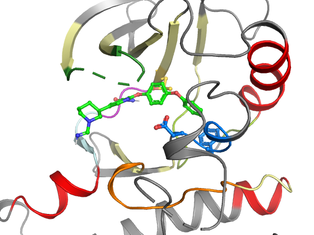 The orthosteric binding pocket