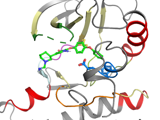 The orthosteric binding pocket