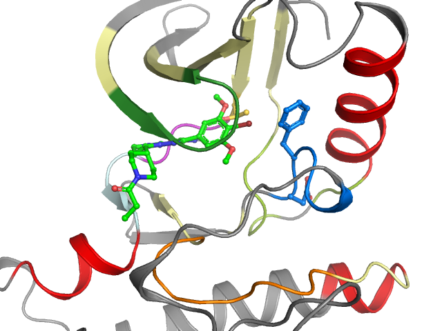 The orthosteric binding pocket