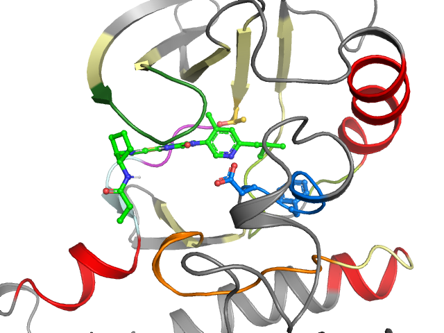 The orthosteric binding pocket