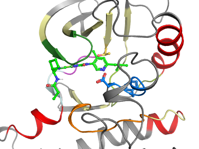 The orthosteric binding pocket