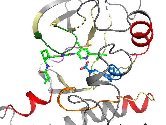 The orthosteric binding pocket