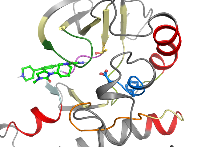 The orthosteric binding pocket