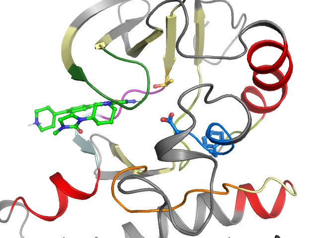 The orthosteric binding pocket