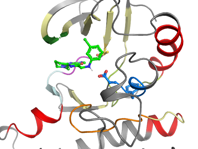 The orthosteric binding pocket
