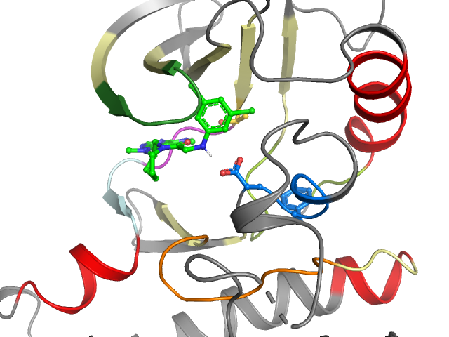 The orthosteric binding pocket