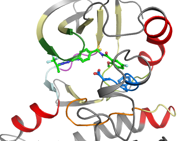 The orthosteric binding pocket