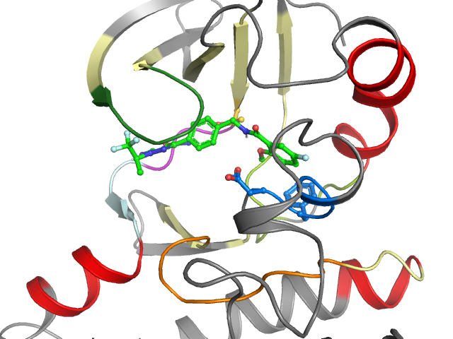 The orthosteric binding pocket