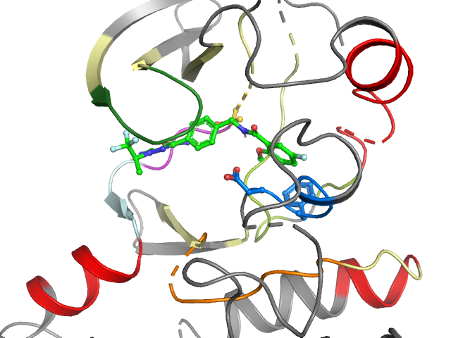 The orthosteric binding pocket