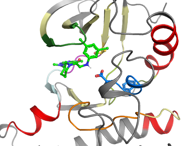 The orthosteric binding pocket