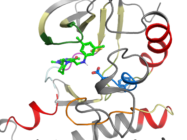 The orthosteric binding pocket