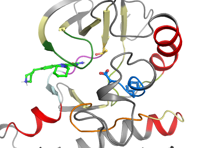 The orthosteric binding pocket