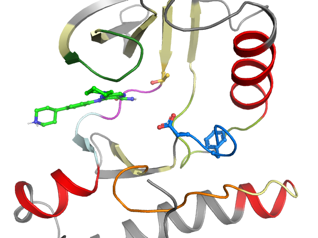 The orthosteric binding pocket