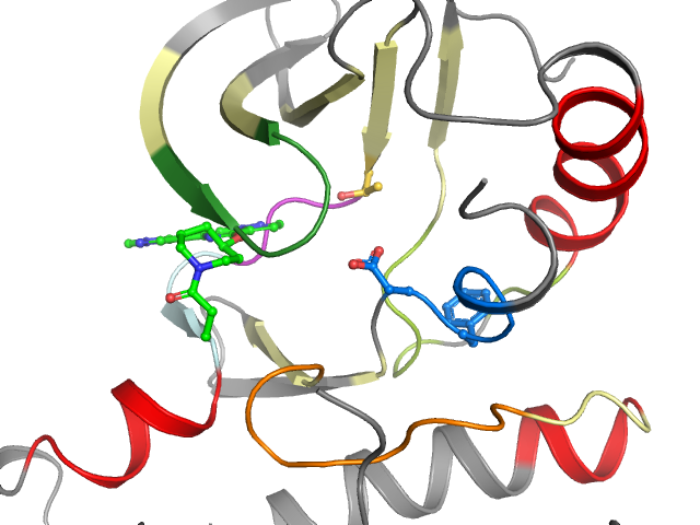 The orthosteric binding pocket