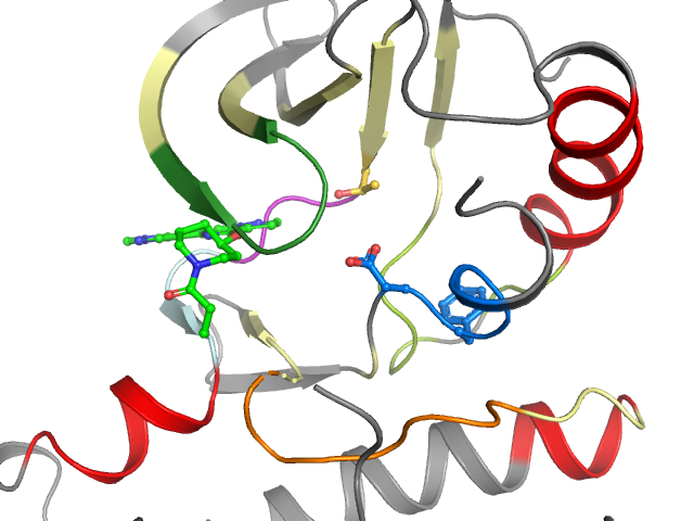 The orthosteric binding pocket
