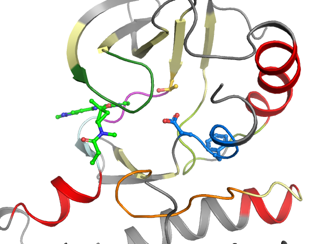 The orthosteric binding pocket