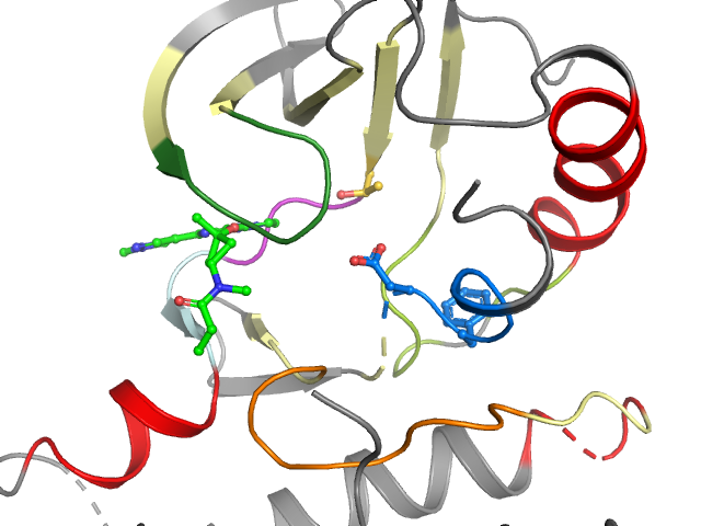 The orthosteric binding pocket