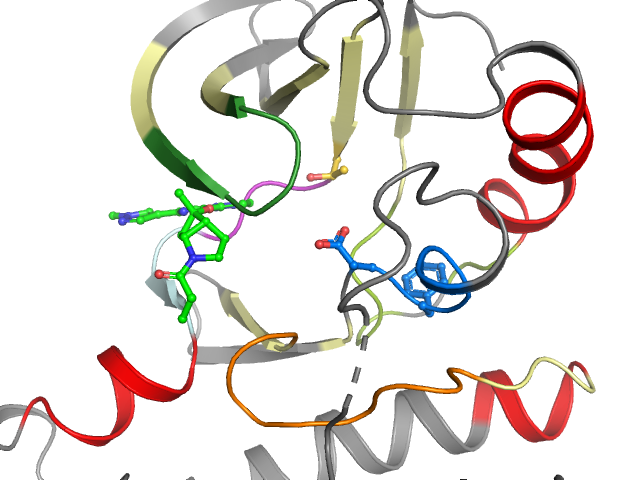 The orthosteric binding pocket
