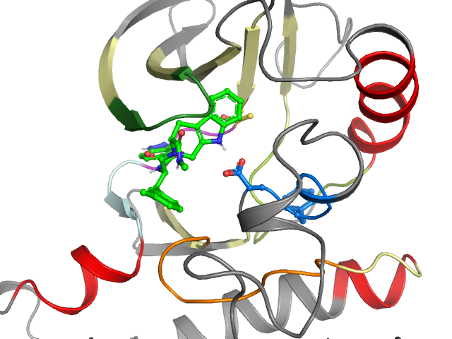 The orthosteric binding pocket