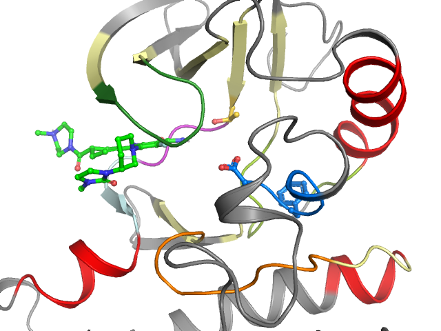 The orthosteric binding pocket