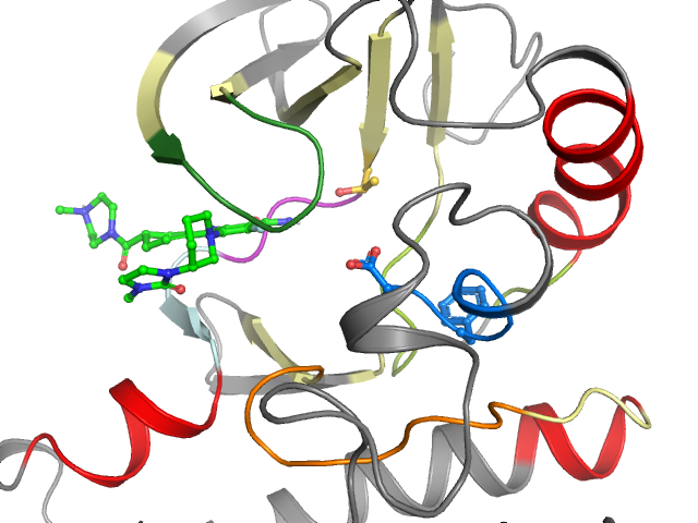 The orthosteric binding pocket