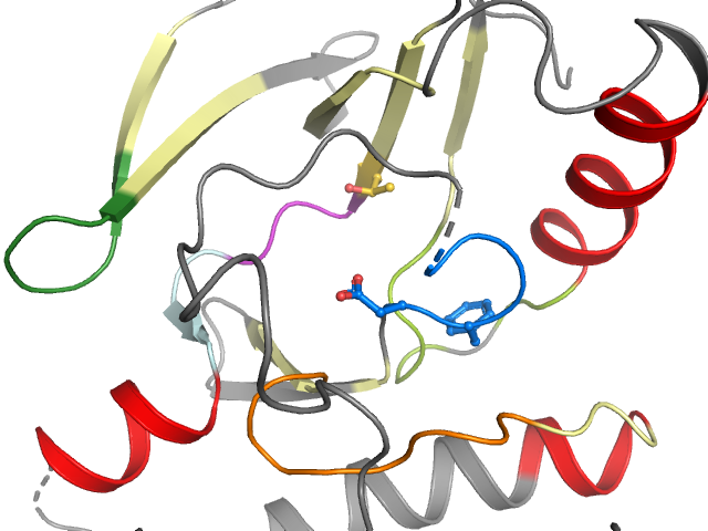 The orthosteric binding pocket