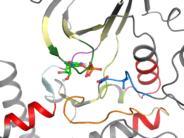 The orthosteric binding pocket