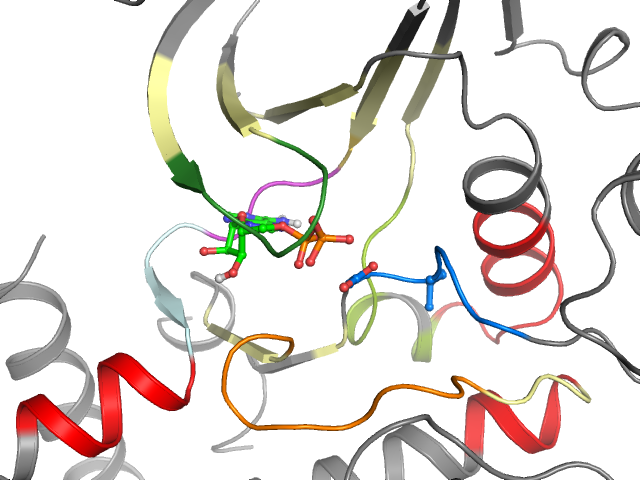 The orthosteric binding pocket
