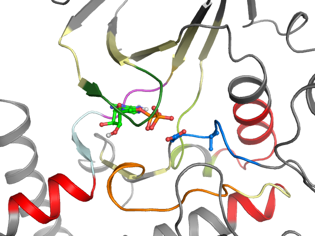 The orthosteric binding pocket