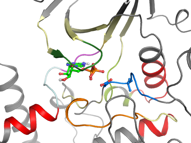The orthosteric binding pocket