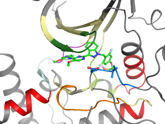 The orthosteric binding pocket