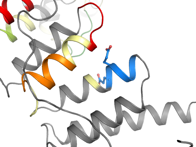 The orthosteric binding pocket