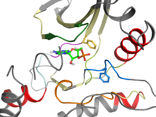 The orthosteric binding pocket