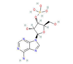 2D structure of the orthosteric ligand