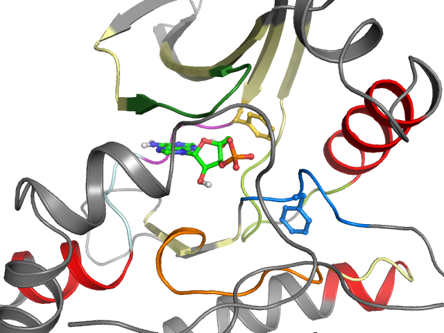 The orthosteric binding pocket